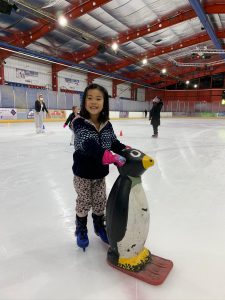Ice skating penguin