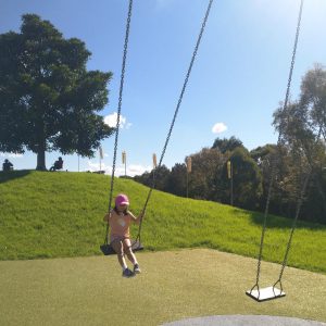Blaxland Riverside Park swing