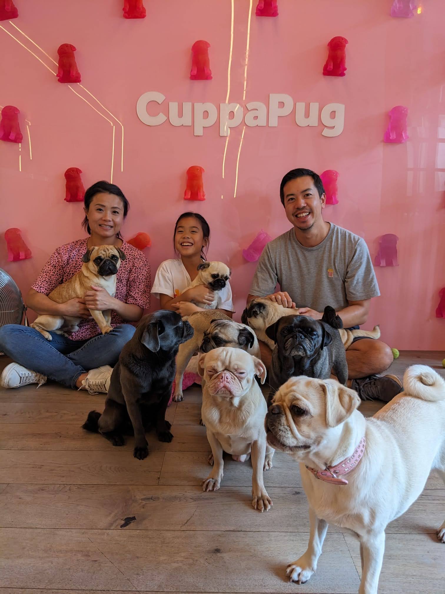 Photo of all of us with the pugs