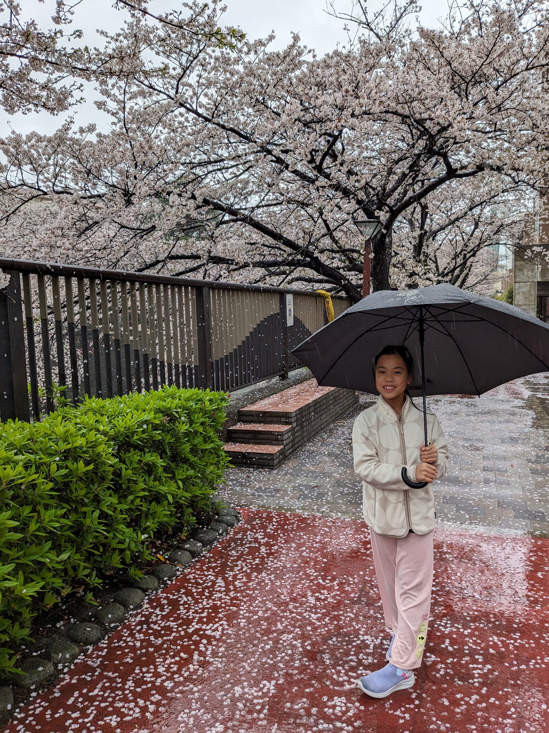 Cara visiting the blossoms
