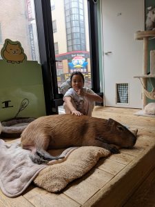 Cara visiting a capybara cafe
